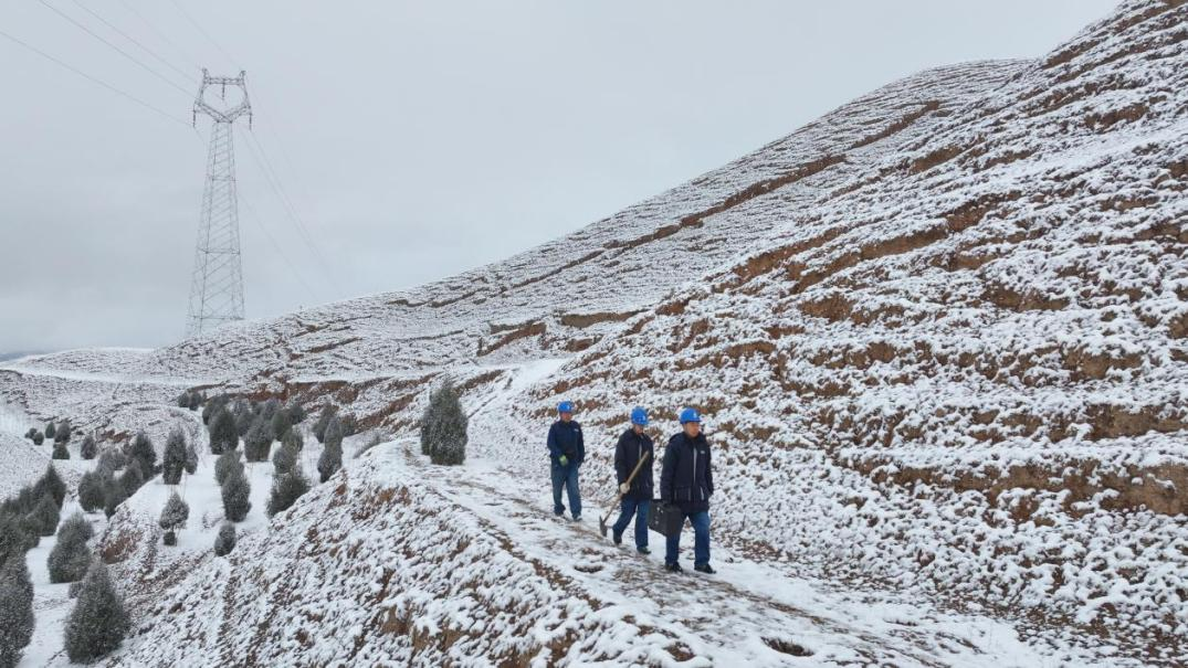 3月13日,国网甘南供电公司组织输电运维人员对110千伏合新线,多碌一、二线开展雪后特巡。王亚楠、才本摄