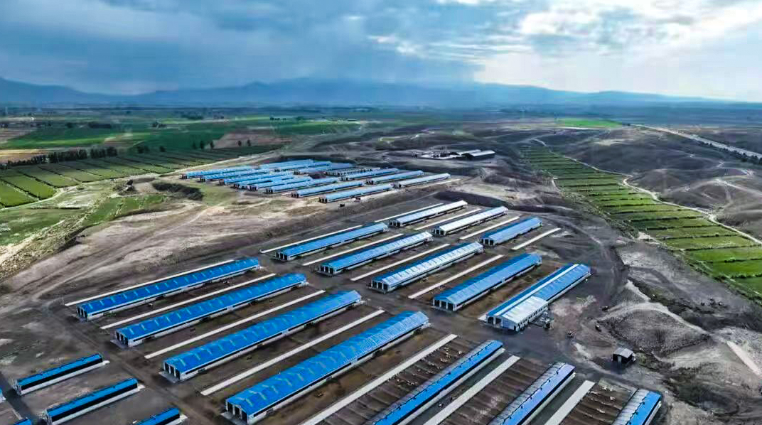 永昌县奶绵羊养殖基地。永昌县委宣传部供图