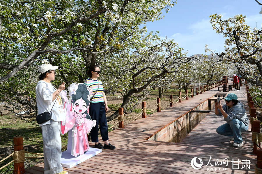 游客在什川古梨园赏花拍照。人民网 席娟娟摄