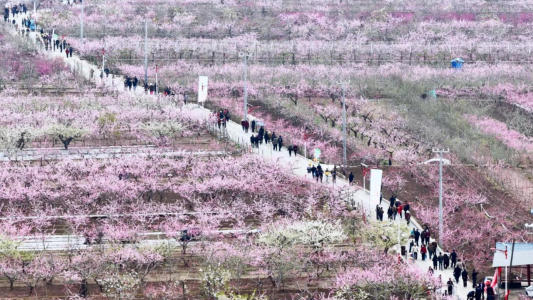 活动现场。临夏县委宣传部供图