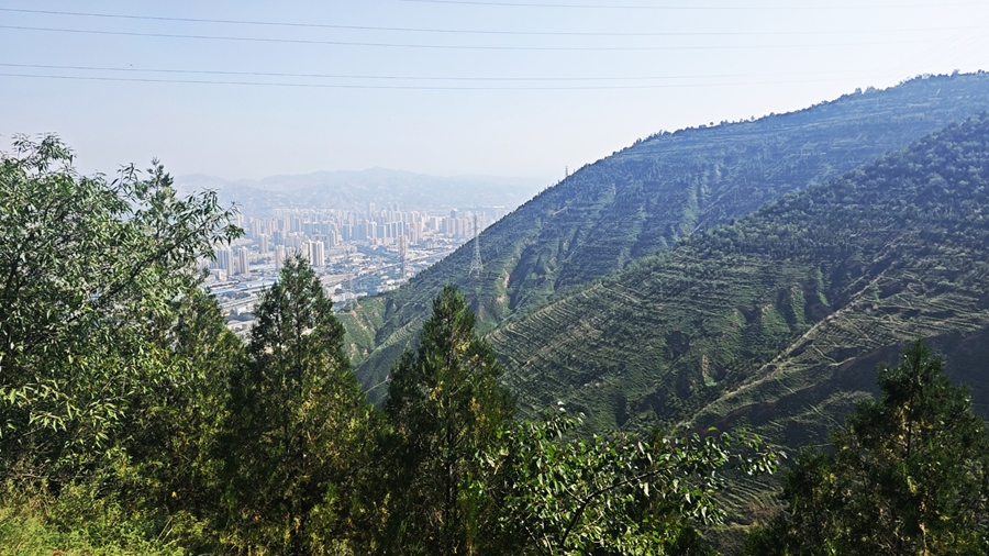 将军山林业管理站：守一片青翠 护一山平安