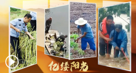 億縷陽光·鄉見︱有我們