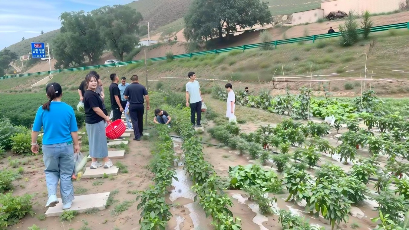 游客打卡采摘园。贠向慕摄