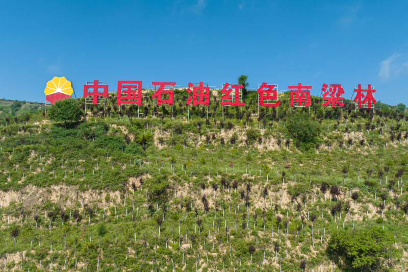 曾经黄沙漫天、人迹罕至的荒山，变为远近闻名的红色南梁林。杨军平摄