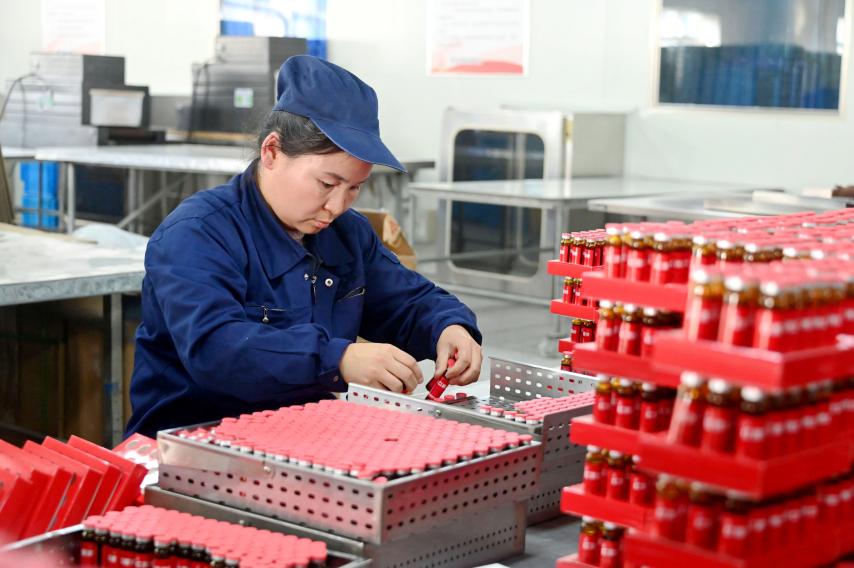 定西一药企加工车间。陇西县委宣传部供图