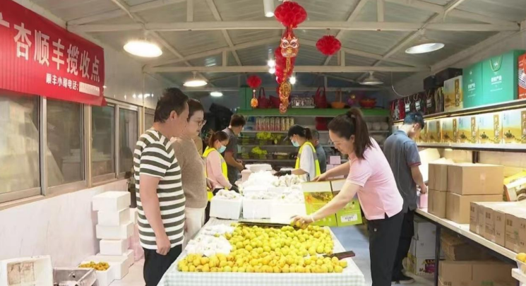 快递邮寄点揽收李广杏。敦煌市委宣传部供图