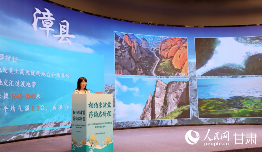 漳县县委常委、副县长杨慧作专题推介。人民网记者 焦隆摄