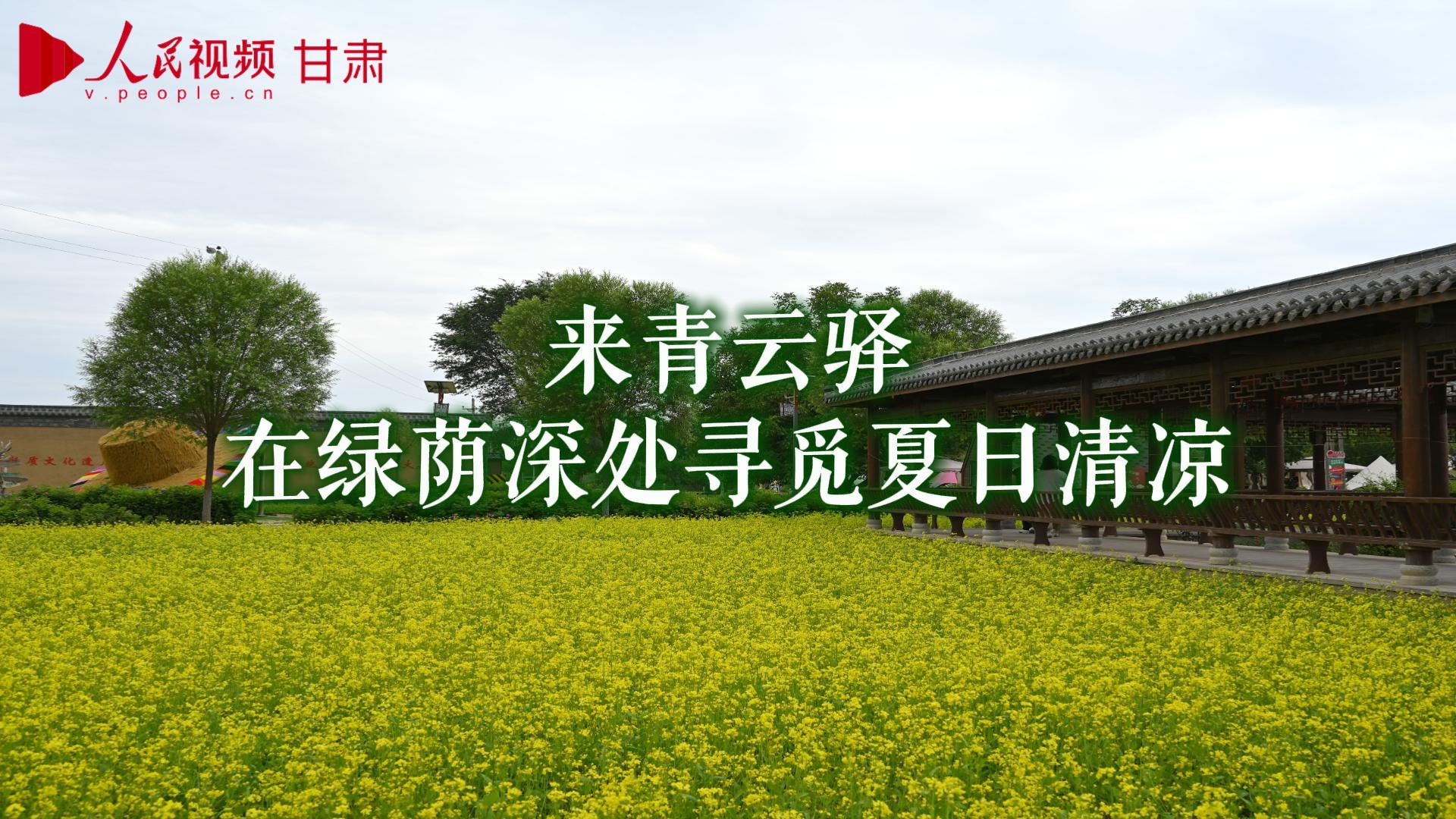 一个像“花园”的药圃园