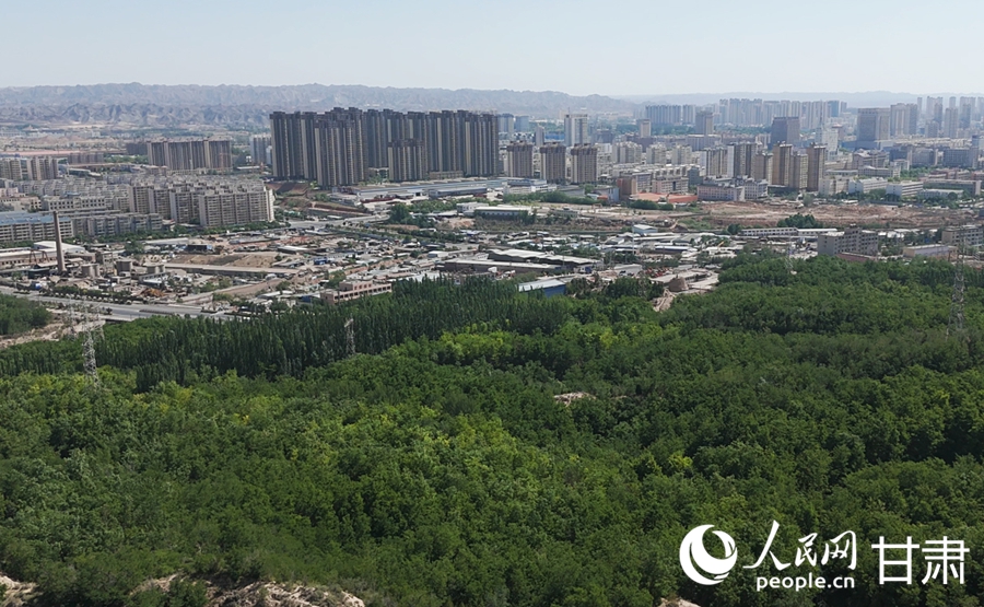 在楼房沟林场远眺白银区。人民网记者 米媛摄