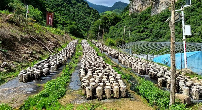 甘肃移动供图