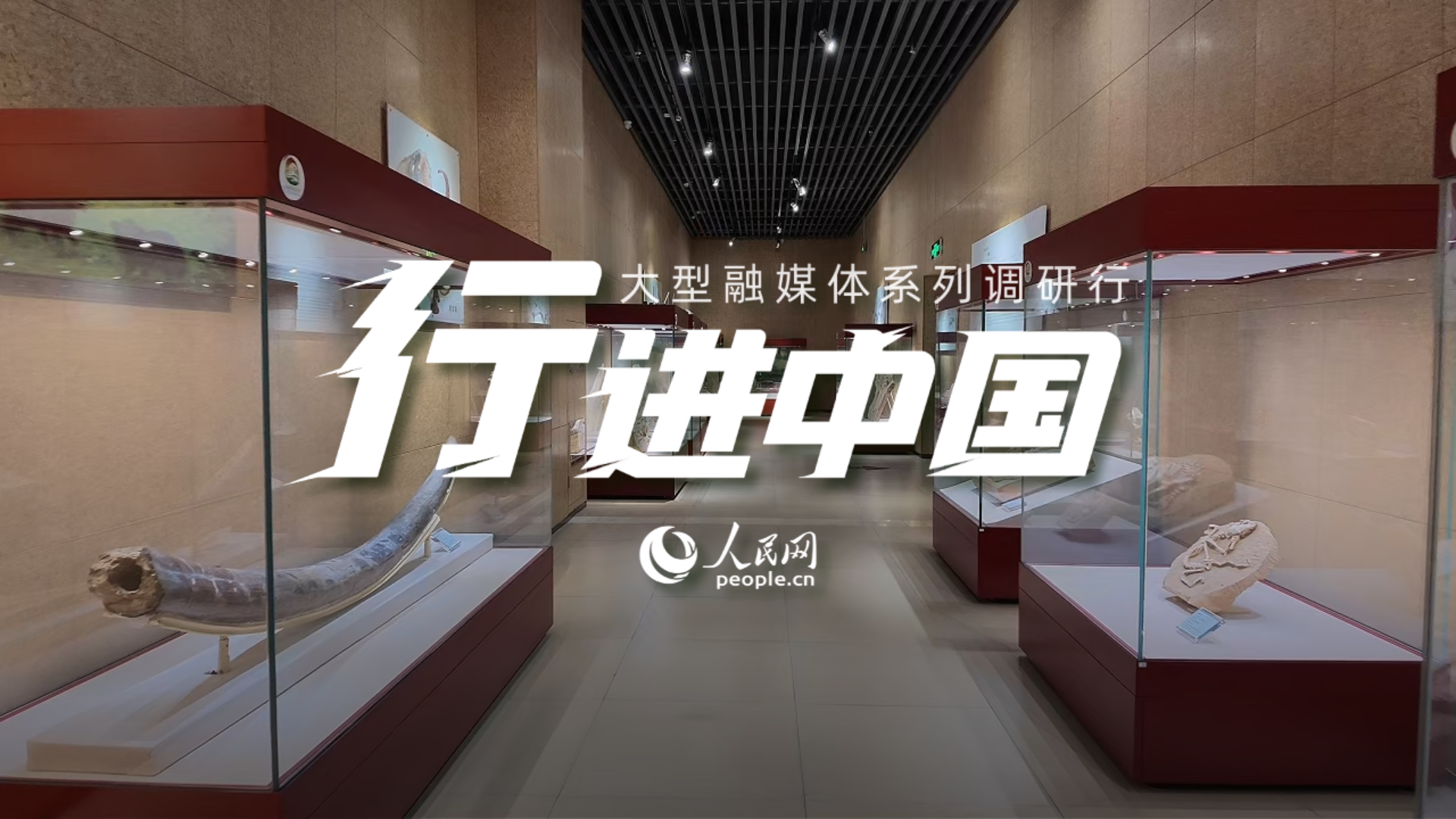 “化石王国”整合资源闯新路