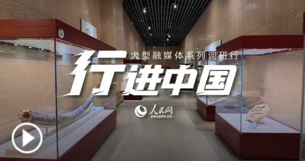 “化石王国”整合资源闯新路和政已构建起一个立体多元的“化石王国”。