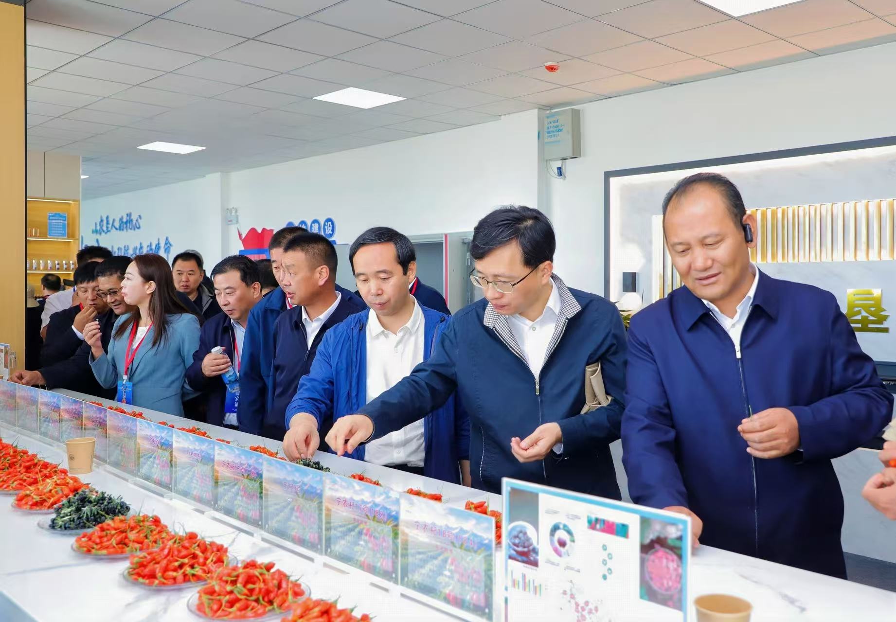2026年柴达木枸杞产销对接会启幕 高原“红果”乘风拓市正当时