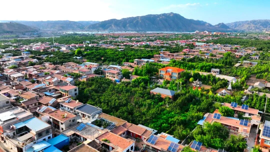 皋兰县什川梨园。兰州市委宣传部供图