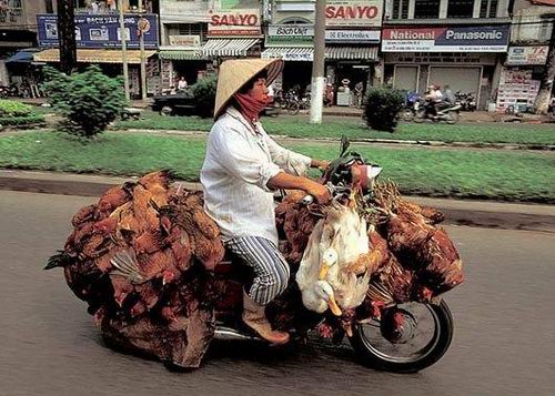 实拍越南街头疯狂摩托车