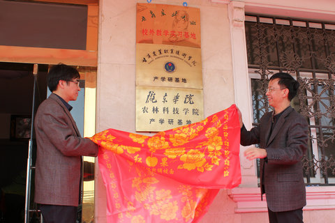 甘肃农业大学校外教学实习基地在金穗种业公司