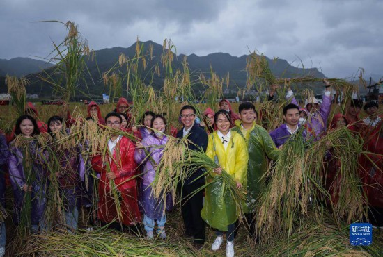 10月16日，游客在三都鎮新和村袁隆平生態水稻種植基地與收割的“巨型稻”合影。