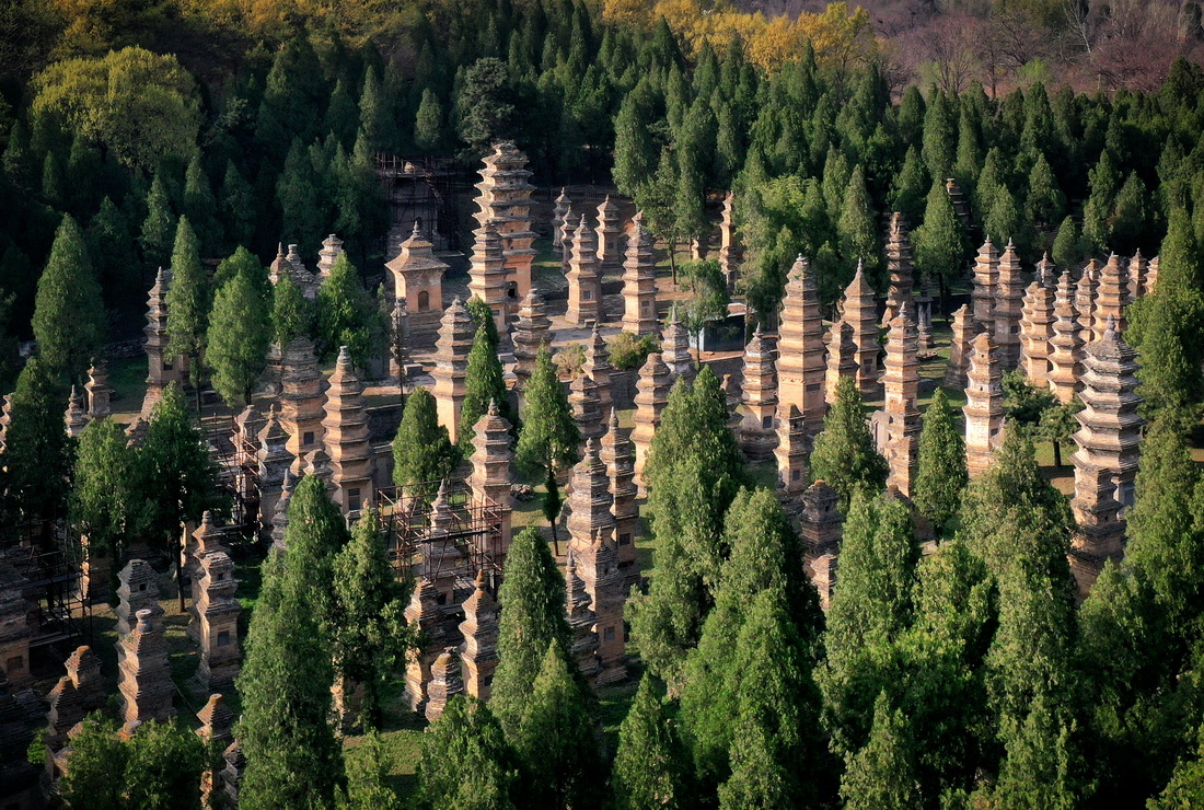 这是登封“天地之中”历史建筑群中的少林寺塔林(4月7日摄,无人机照片)。